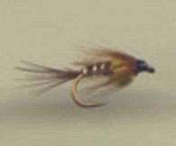 Pheasant Tail Nymph